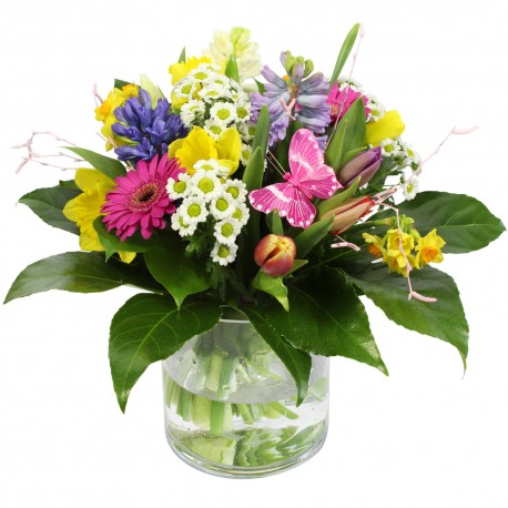 Occasion Flowers